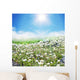 Meadow