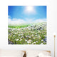 Meadow
