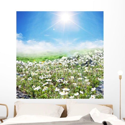 Meadow