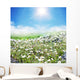 Meadow