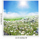 Meadow