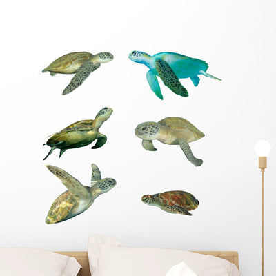 Six Sea Turtles Wall Decal Sticker Set shown on a wall