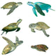 Six Sea Turtles Wall Decal Sticker Set