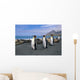 King Penguins Walk Among Elephant Seals Resting Wall Mural