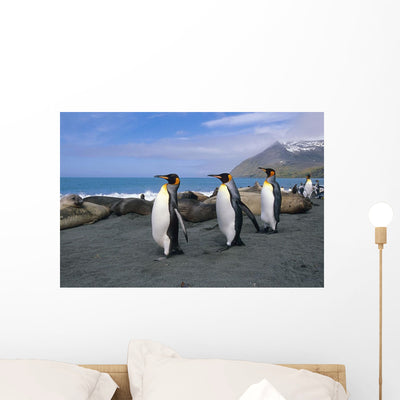 King Penguins Walk among Wall Mural shown on a wall