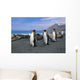 King Penguins Walk Among Elephant Seals Resting Wall Mural