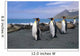 King Penguins Walk Among Elephant Seals Resting Wall Mural