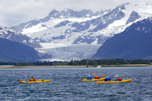 Sea Kayakers Wall Mural