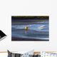 Brown Bear Walks Along The Shoreline Wall Mural