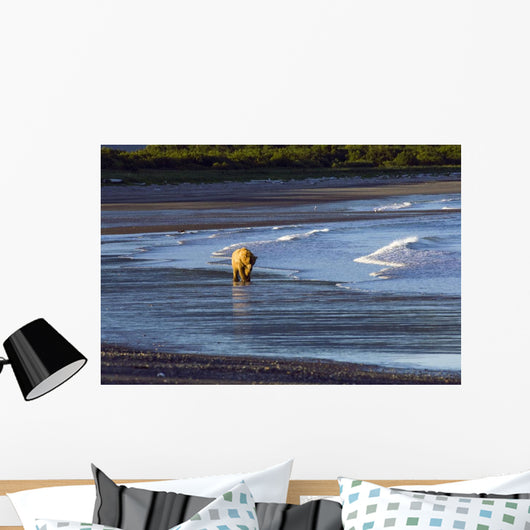 Brown Bear Walks Along The Shoreline Wall Mural