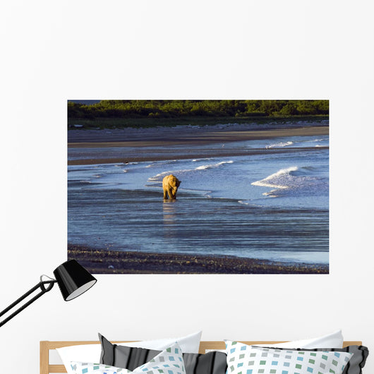 Brown Bear Walks Along The Shoreline Wall Mural