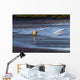 Brown Bear Walks Along The Shoreline Wall Mural