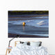 Brown Bear Walks Along The Shoreline Wall Mural