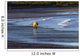 Brown Bear Walks Along The Shoreline Wall Mural