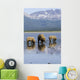 Brown Bears Digging Clams Wall Mural