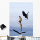 Three Bald Eagles Wall Mural
