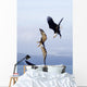 Three Bald Eagles Wall Mural