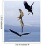 Three Bald Eagles Wall Mural