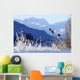 Bald Eagles Perched Wall Mural