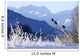Bald Eagles Perched Wall Mural