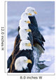 Six Bald Eagles Perched Wall Mural