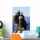 Several Adult Bald Ealges Perched Wall Mural