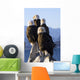 Several Adult Bald Ealges Perched Wall Mural