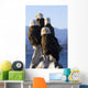 Several Adult Bald Ealges Perched Wall Mural