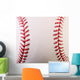 Macro New Baseball Wall Mural