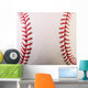 Macro New Baseball Wall Mural