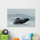 Humpback Whale Breaching Near Juneau During Summer In Southeast Alaska Wall Mural