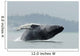 Humpback Whale Breaching Near Juneau During Summer In Southeast Alaska Wall Mural