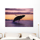 Humpback Whale Breaching @ Sunset Composite Se Ak Wall Mural