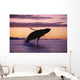 Humpback Whale Breaching @ Sunset Composite Se Ak Wall Mural