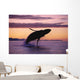 Humpback Whale Breaching @ Sunset Composite Se Ak Wall Mural