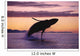 Humpback Whale Breaching @ Sunset Composite Se Ak Wall Mural