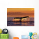 Humpback Whale Fluke @ Sunset Inside Passage Se Ak Summer Wall Mural