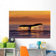 Humpback Whale Fluke @ Sunset Inside Passage Se Ak Summer Wall Mural