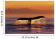 Humpback Whale Fluke @ Sunset Inside Passage Se Ak Summer Wall Mural