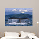 Humpback Whale Tail Wall Mural