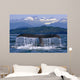 Humpback Whale Tail Wall Mural