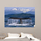 Humpback Whale Tail Wall Mural