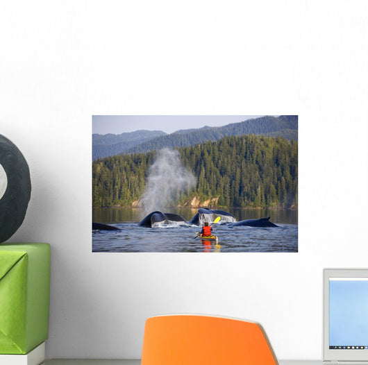 Man Sea Kayaking Wall Mural