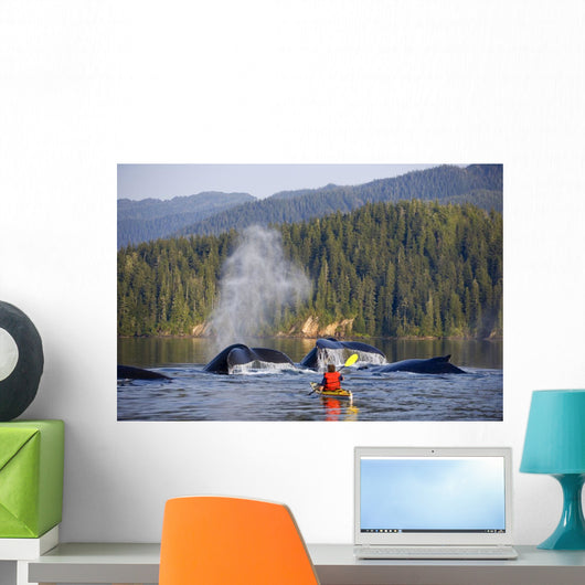 Man Sea Kayaking Wall Mural