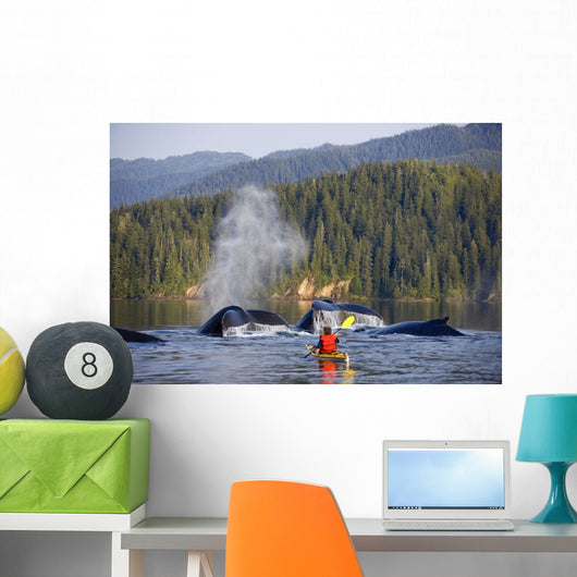 Man Sea Kayaking Wall Mural