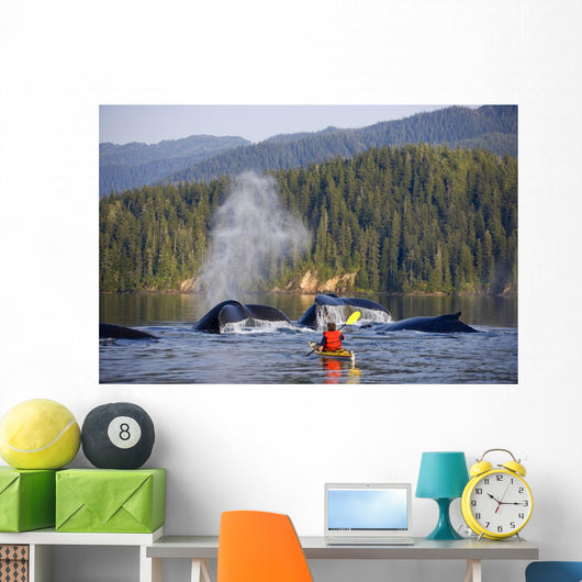 Man Sea Kayaking Wall Mural