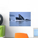 Humpback Whales Lunge Feeding Wall Mural
