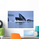 Humpback Whales Lunge Feeding Wall Mural