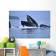 Humpback Whales Lunge Feeding Wall Mural