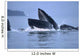 Humpback Whales Lunge Feeding Wall Mural